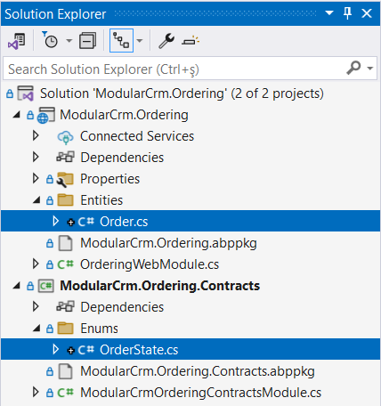 visual-studio-order-entity