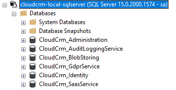 abp-studio-microservice-sql-server-databases