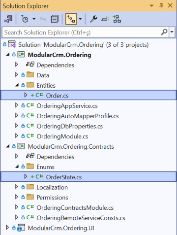 visual-studio-order-entity