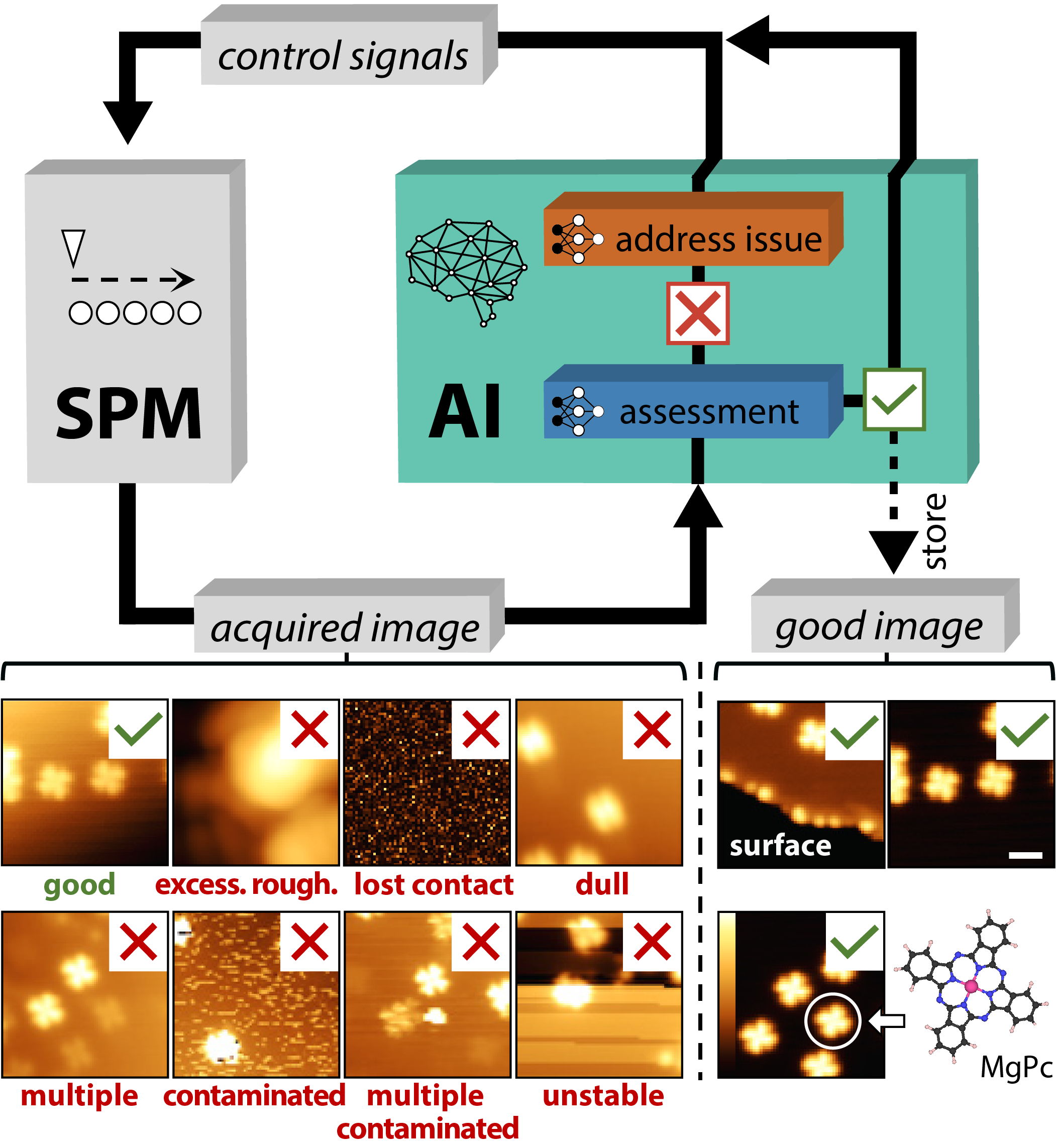 DeepSPM (our method), an autonomous artificial intelligence (AI)-driven scanning probe microscope