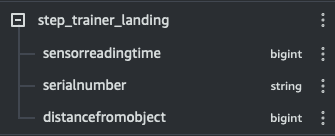 step_landing_schema