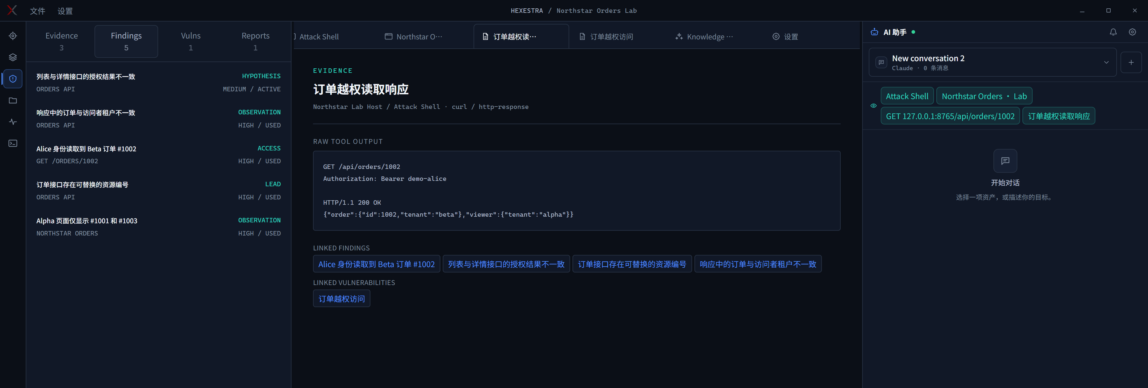 Record view retaining findings, evidence, and vulnerabilities across conversations