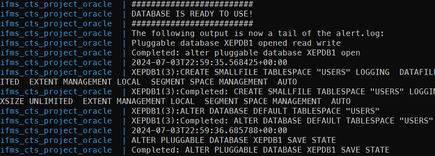 Docker Oracle Output