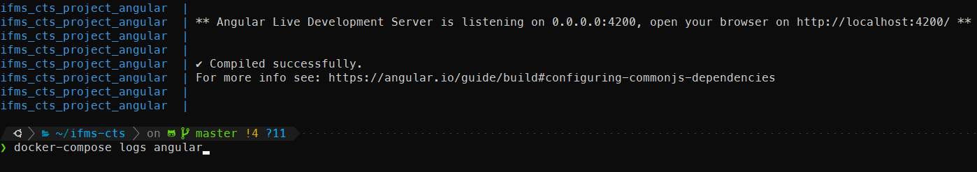 Docker Angular Server Output