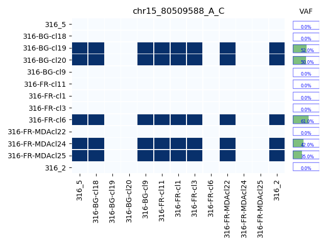 mutation_matrix