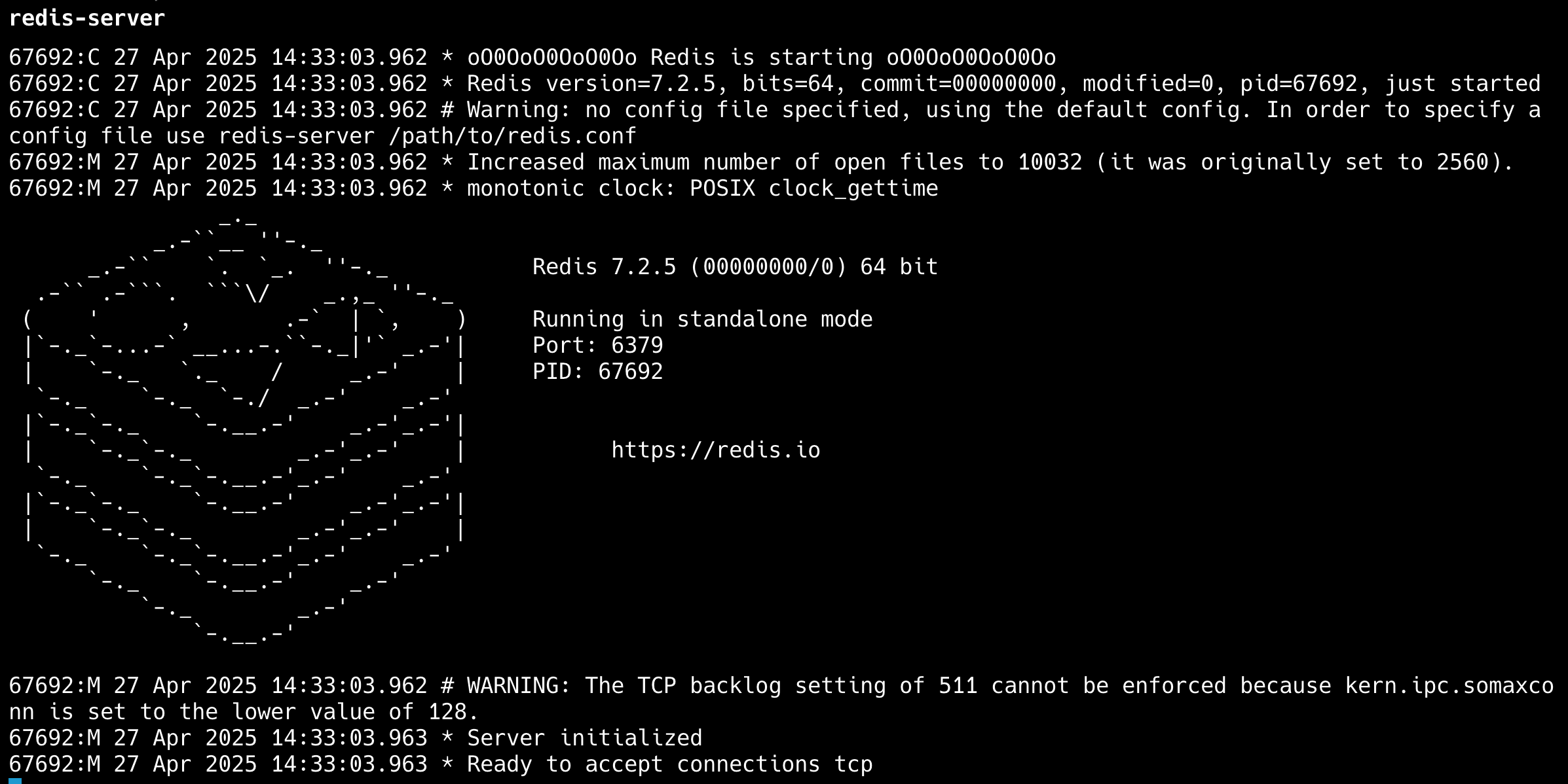 Put ka boljoj Javi: macOS pokreće Redis