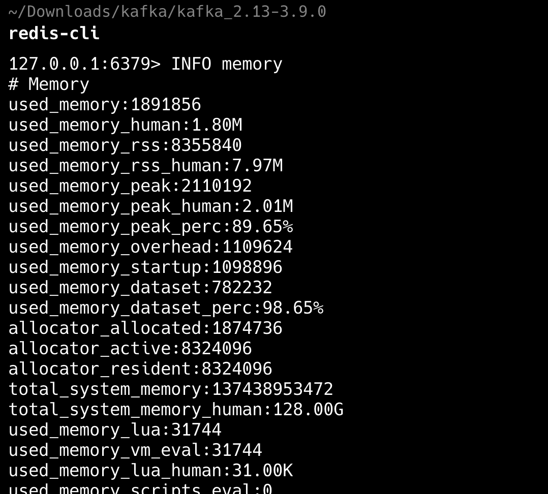Put ka boljoj Javi: INFO memory