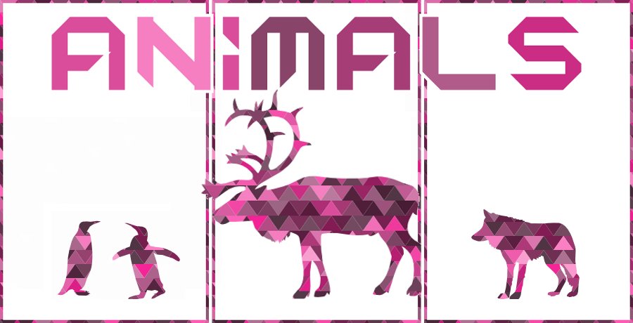 animals geometrics