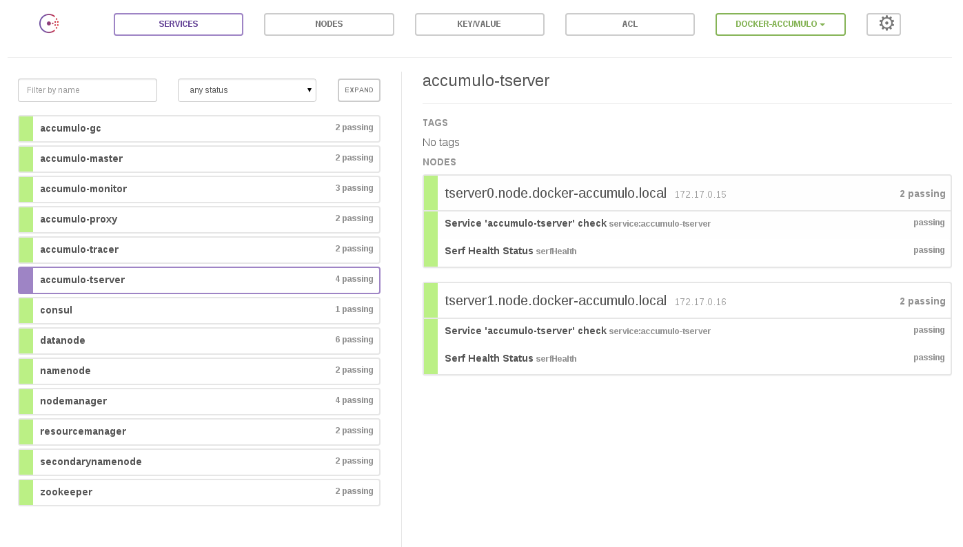 Consul UI