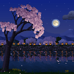 Sakura at night
