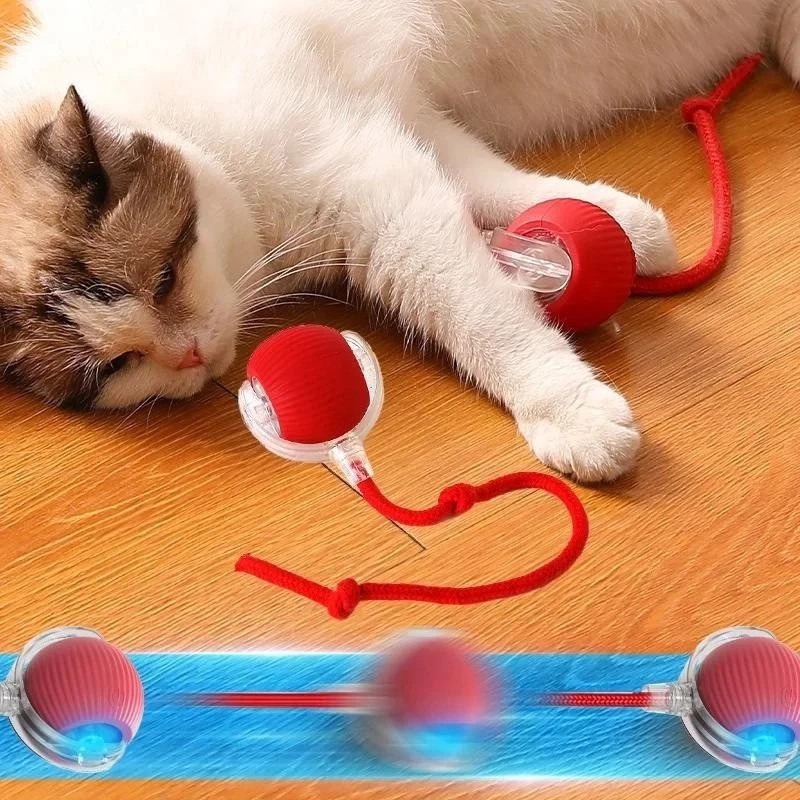Brinquedo Inteligente Recarregável para Gatos com Bola Automática