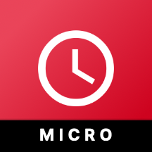 MicroTime Logo
