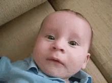 bot-template/Achink.py at master · Ariefking/bot-template · GitHub