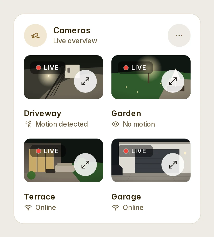 The Cameras card: the cameras outside at a glance, two of them live, each with what it sees, light