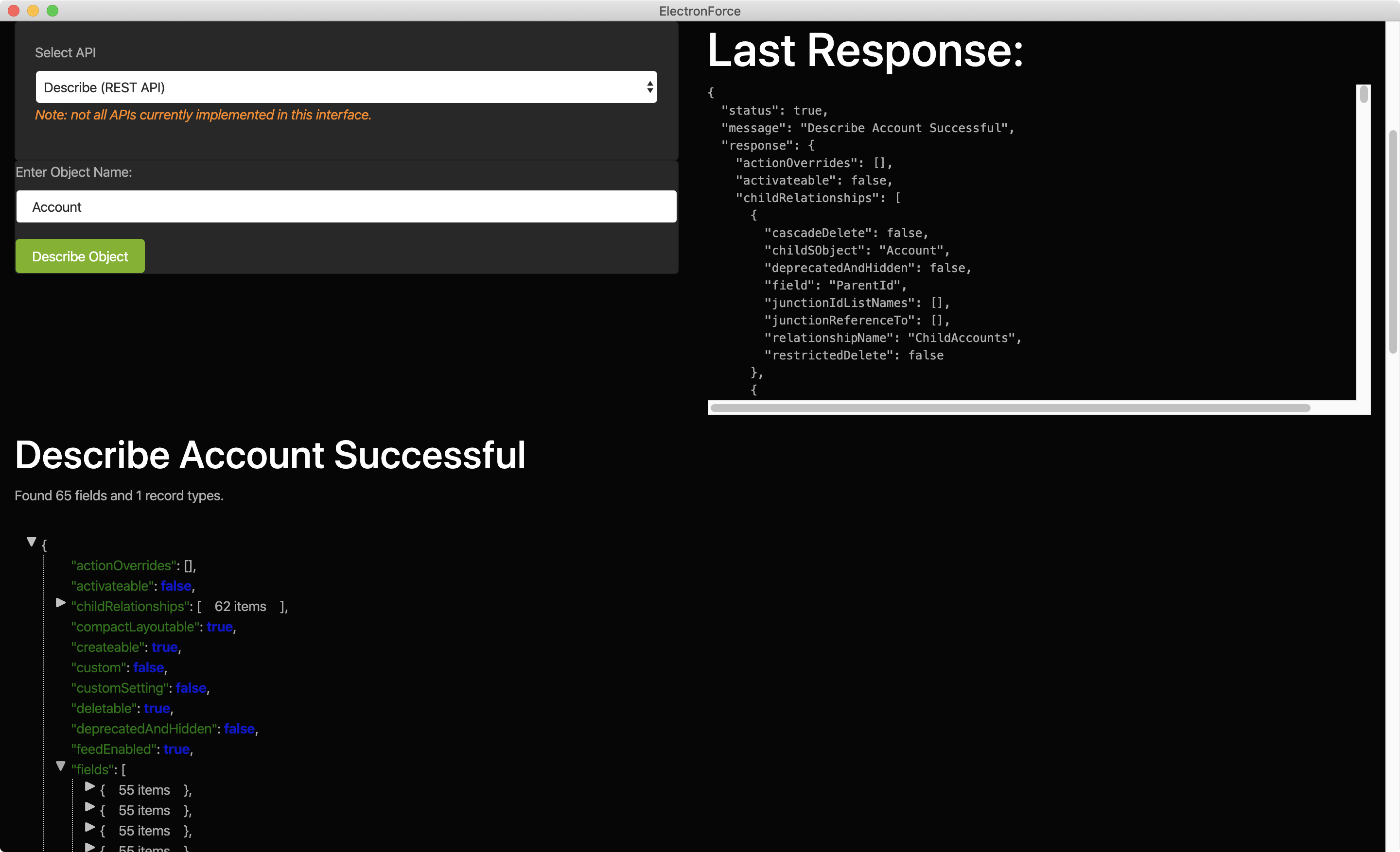 ElectronForce Describe Result Screen.