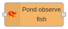 pond observe fish