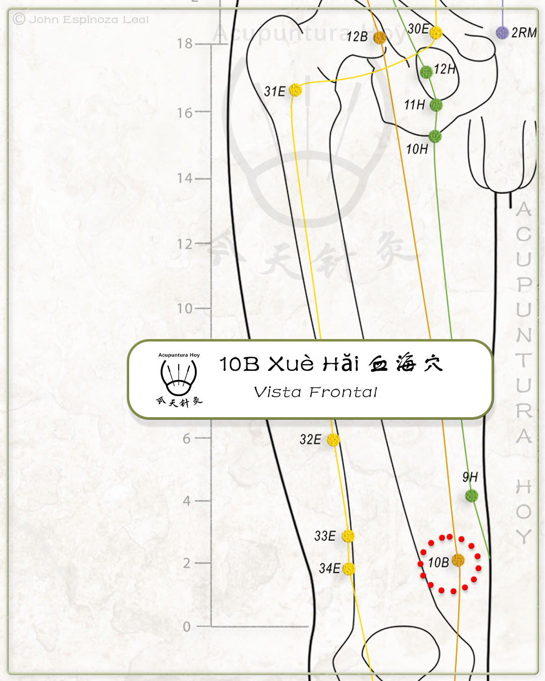 10B Xuè Hǎi 血海穴
