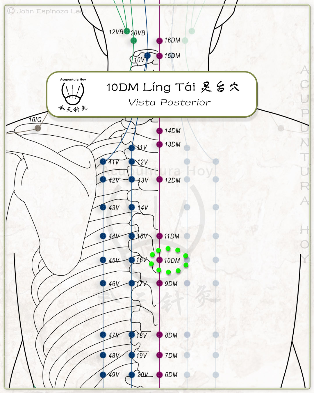 10DM Líng Tái 灵台穴