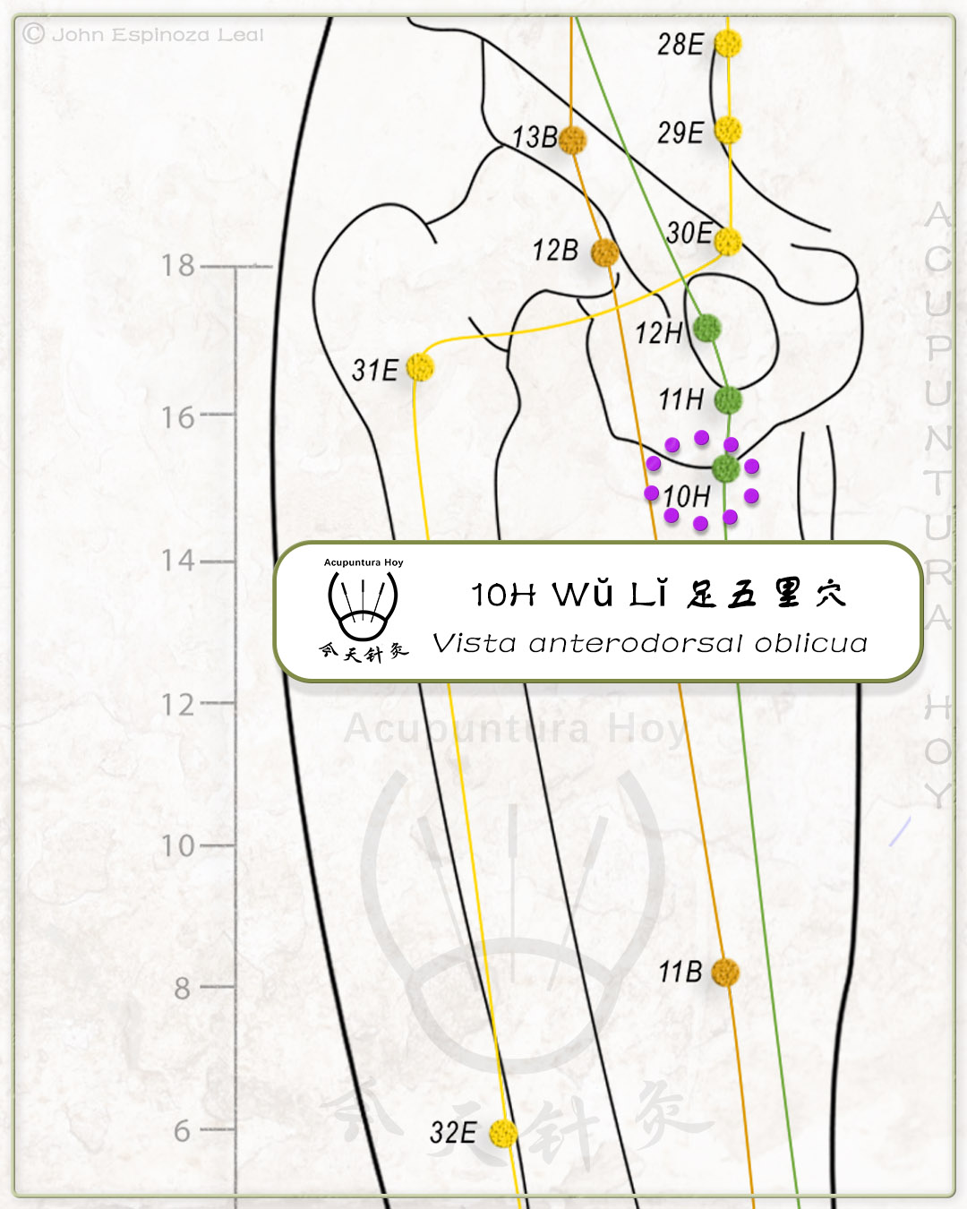 10H Wŭ Lĭ 足五里穴
