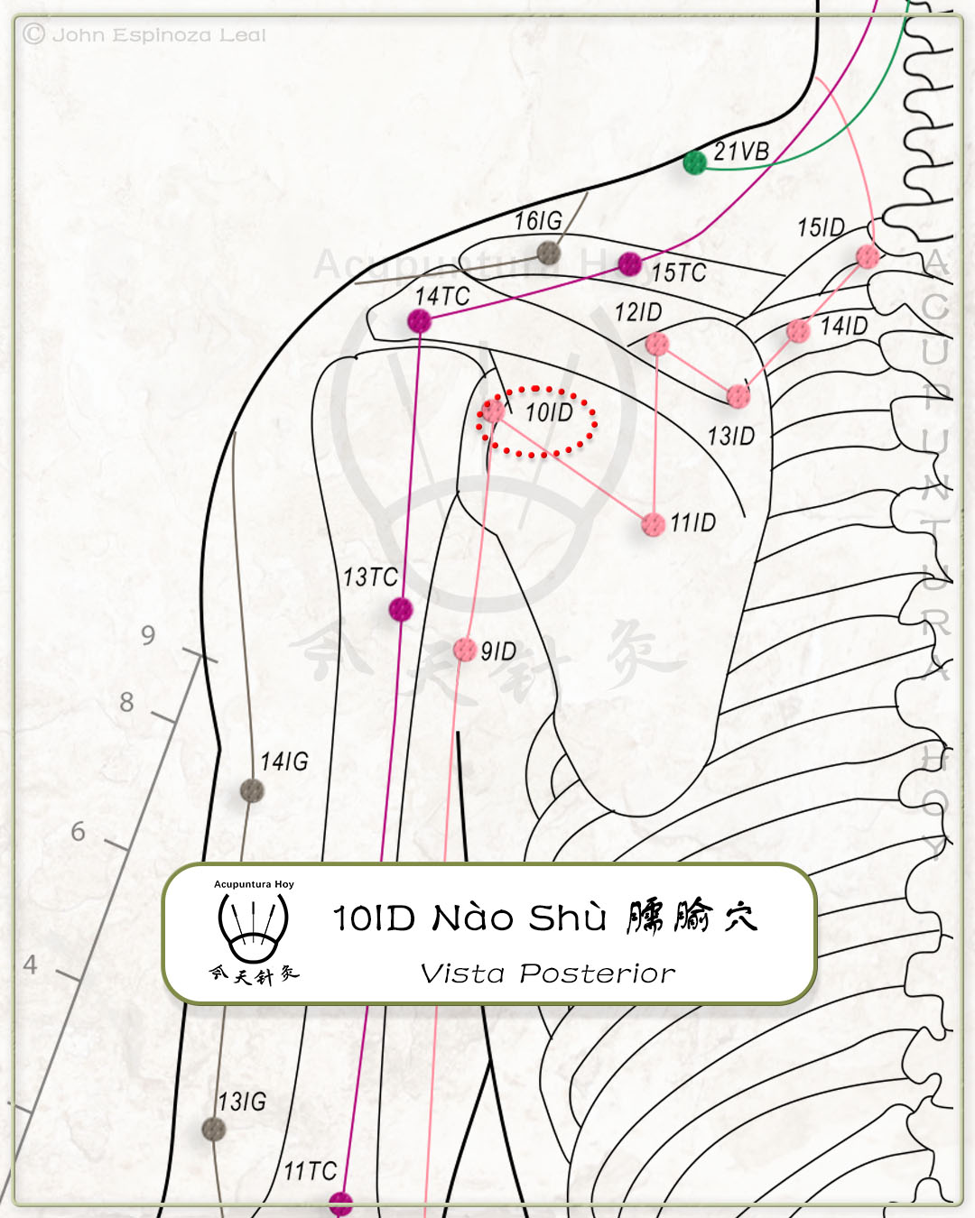 10ID Nào Shù 臑腧穴