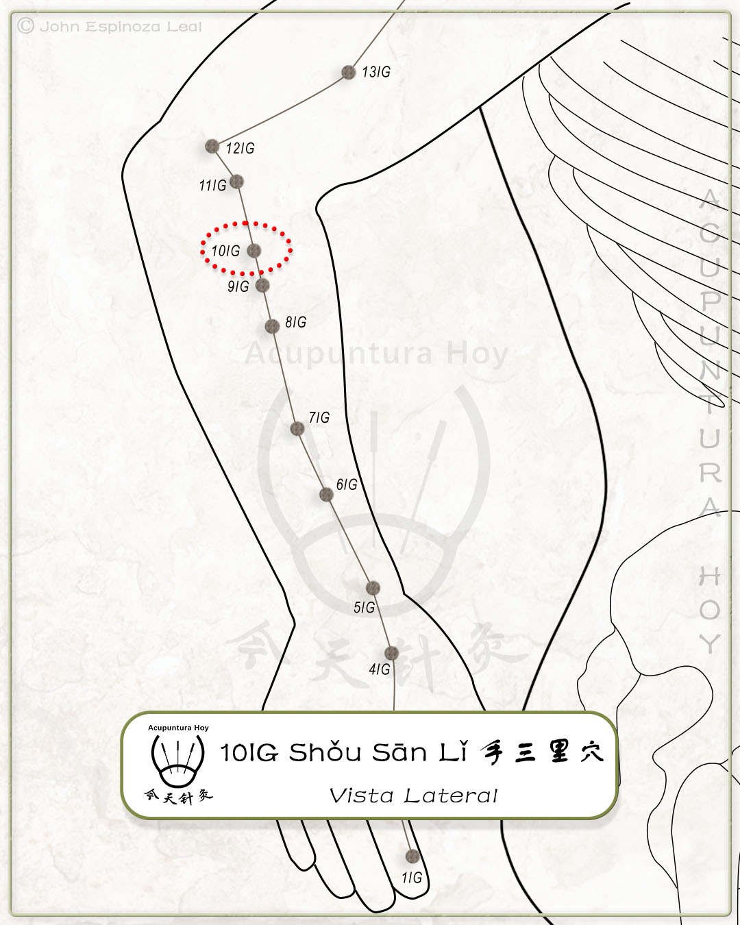 10IG Shǒu Sān Lǐ 手三里穴