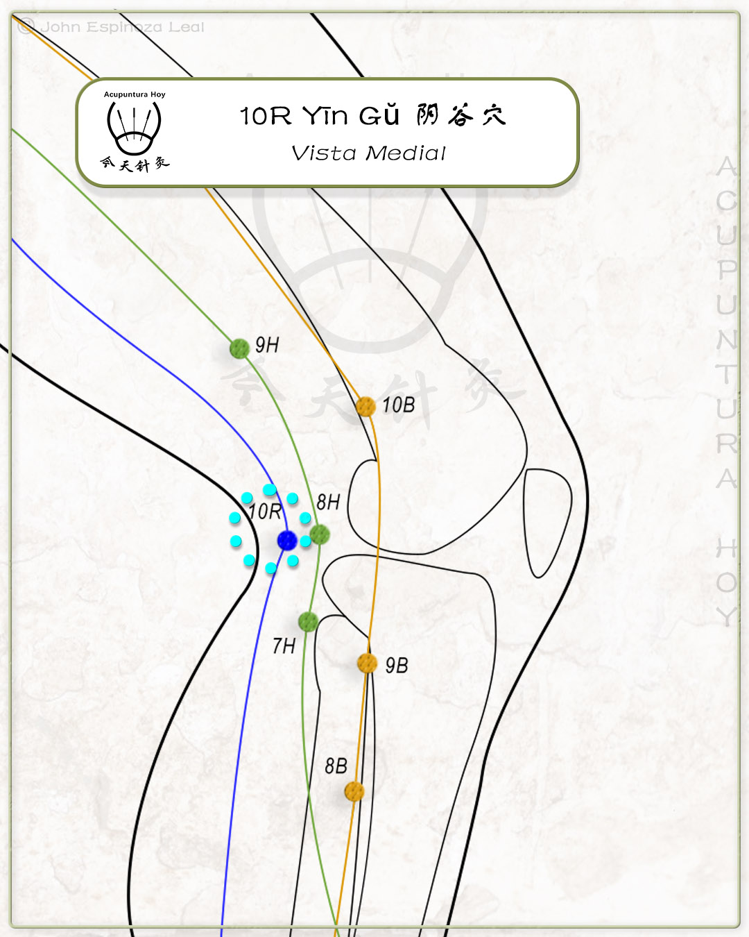 10R Yīn Gŭ 阴谷穴