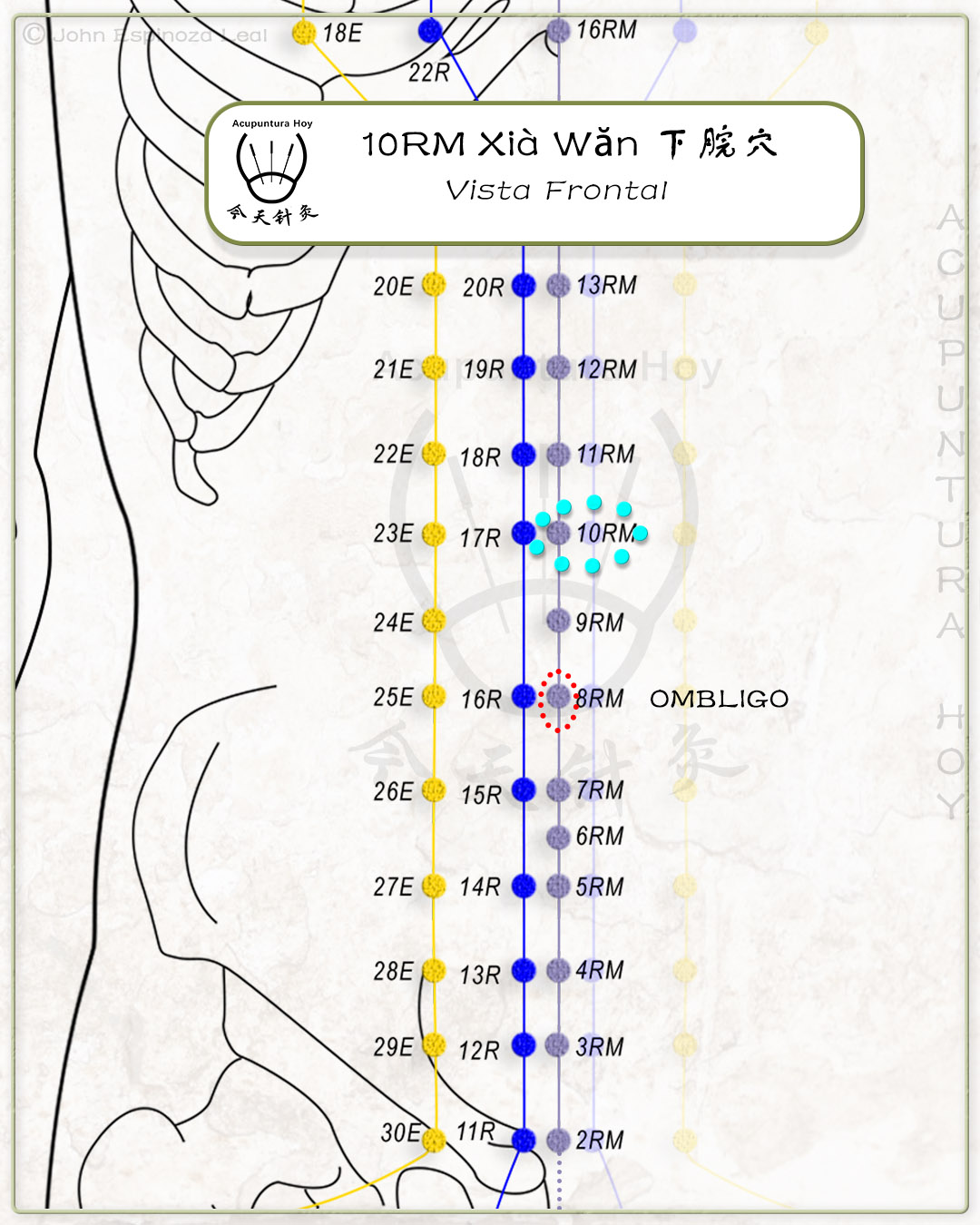 10RM Xià Wăn 下脘穴
