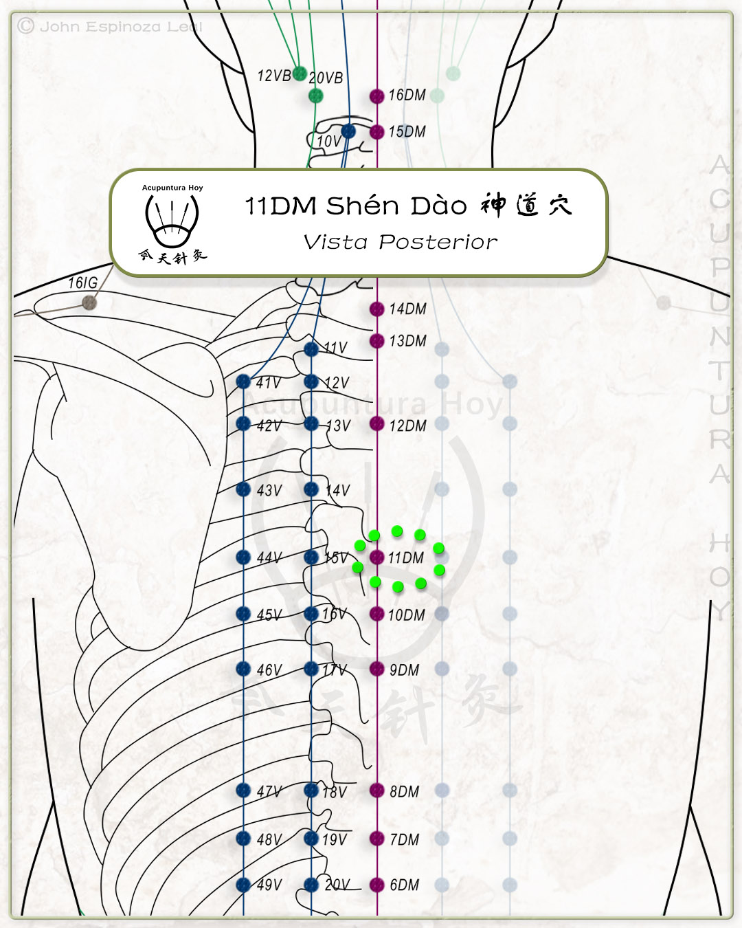 11DM Shén Dào 神道穴