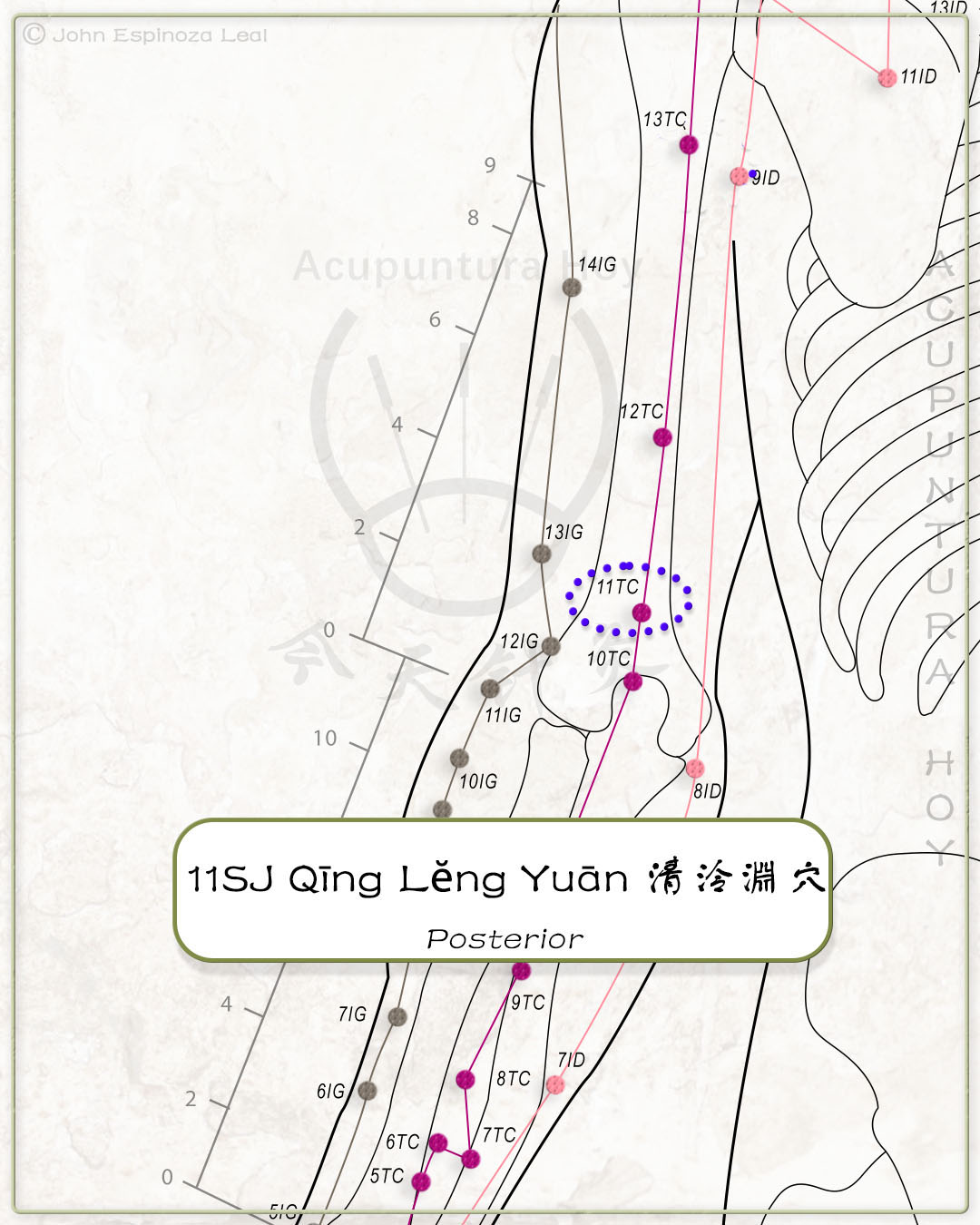 11SJ Qīng Lěng Yuān 清泠淵穴