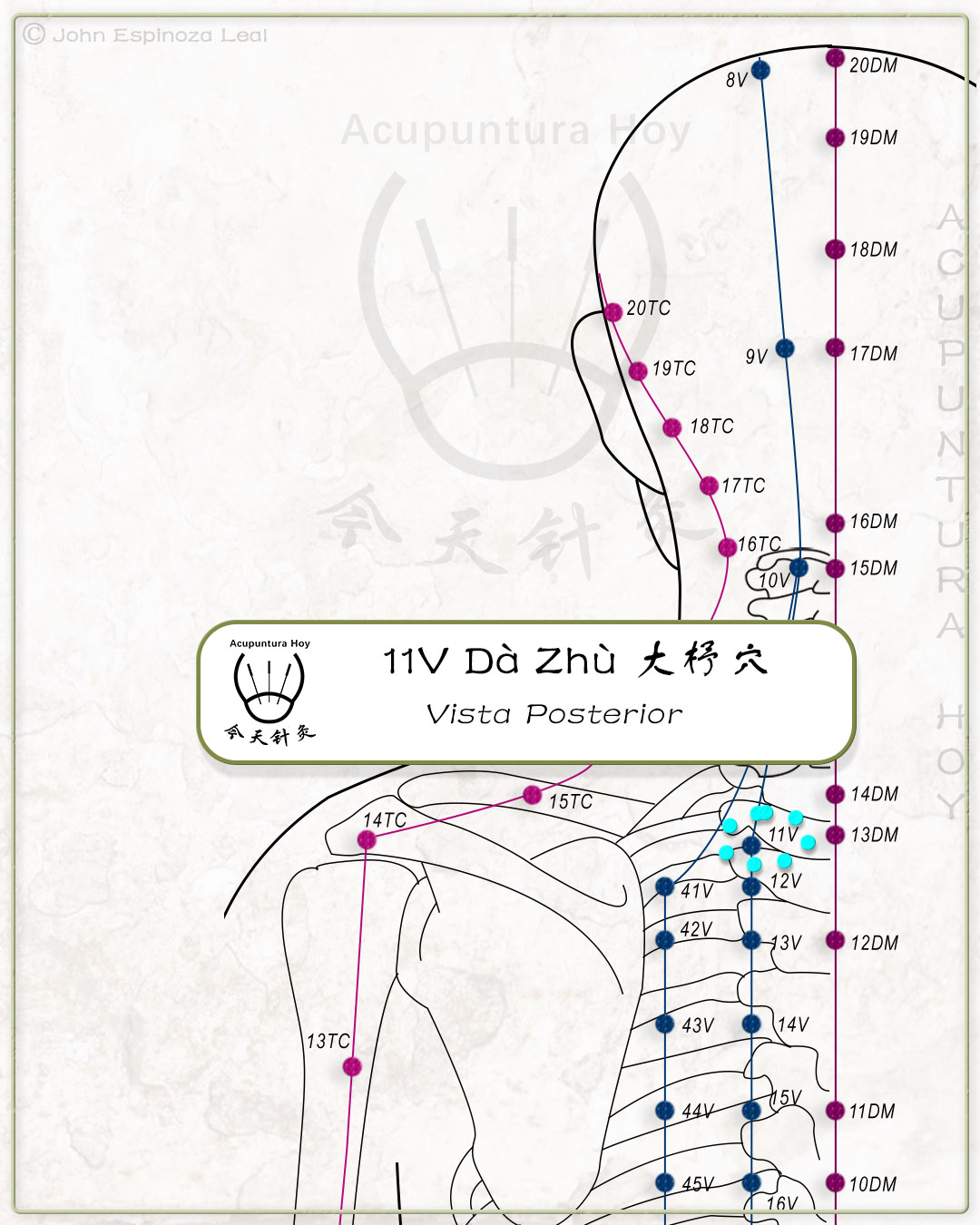 11V Dà Zhù 大杼穴
