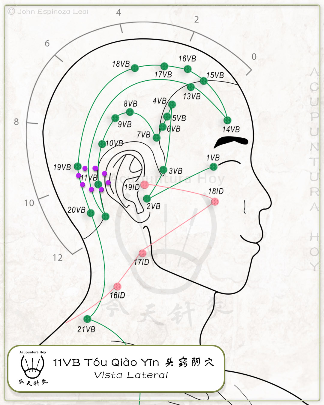 11VB Tóu Qiào Yīn 头窍阴穴