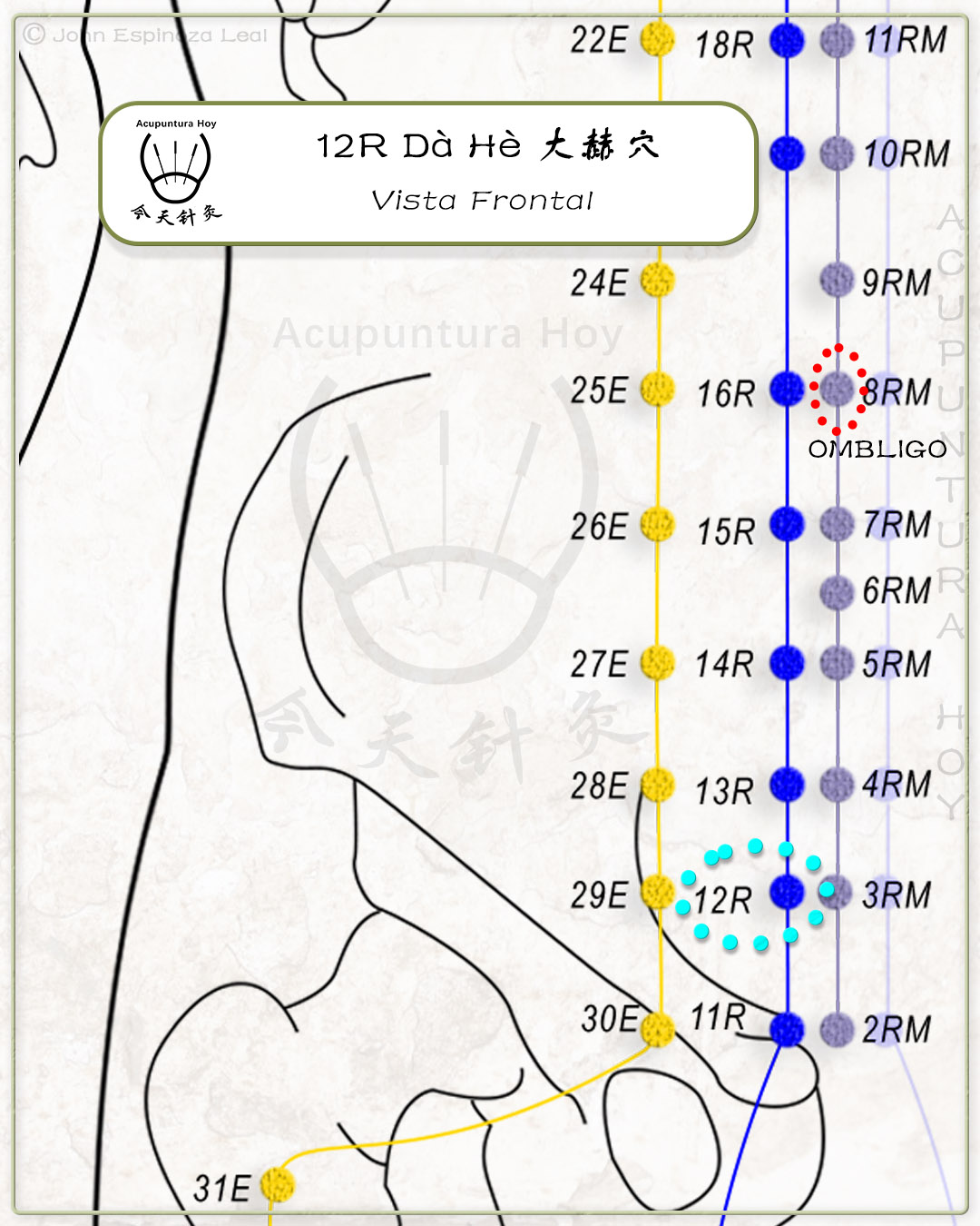 12R Dà Hè 大赫穴