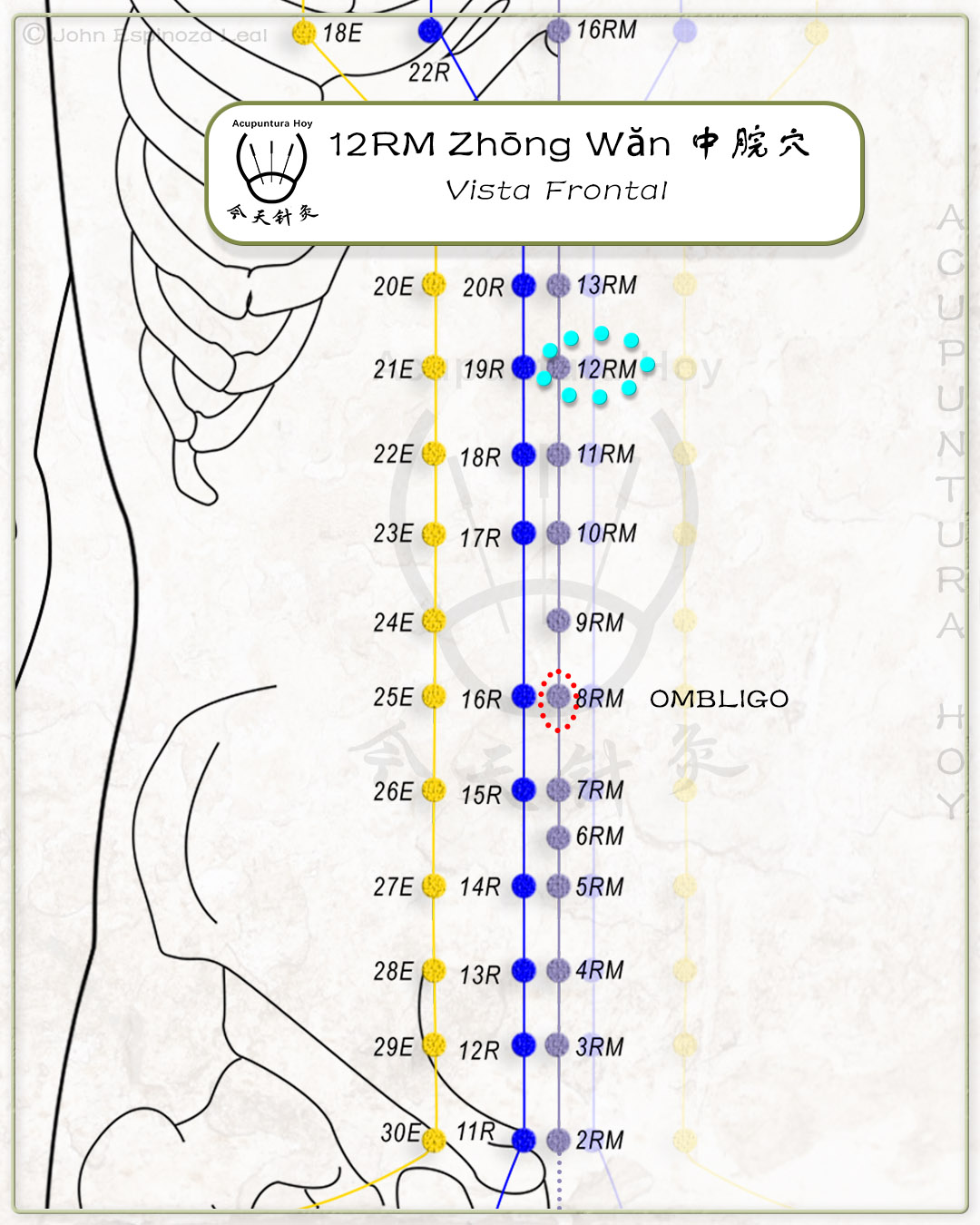 12RM Zhōng Wăn 中脘穴