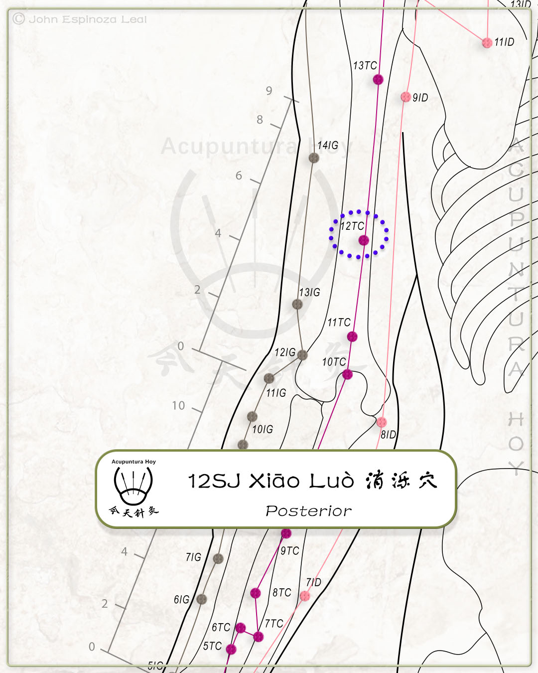 12SJ Xiāo Luò 消泺穴