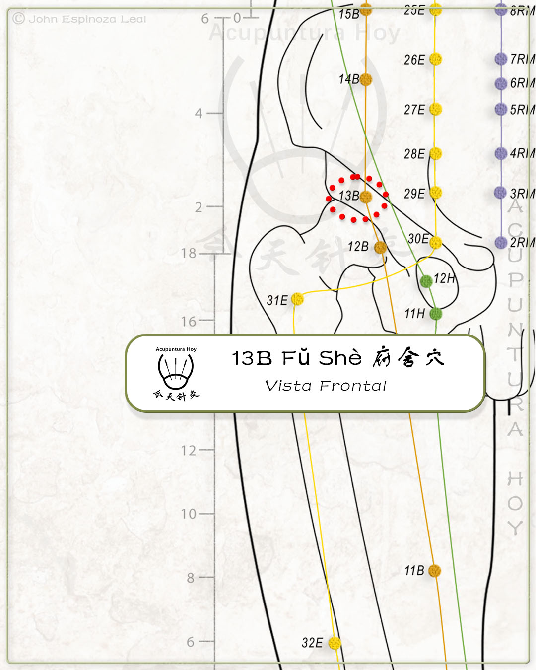 13B Fŭ Shè 府舍穴