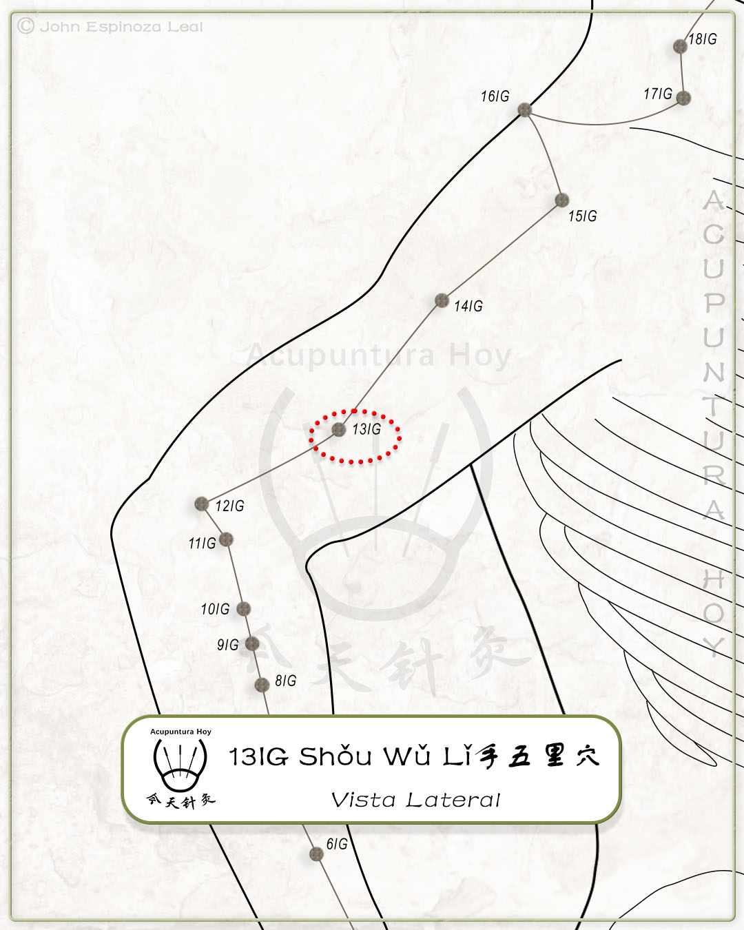 13IG Shǒu Wǔ Lǐ 手五里穴