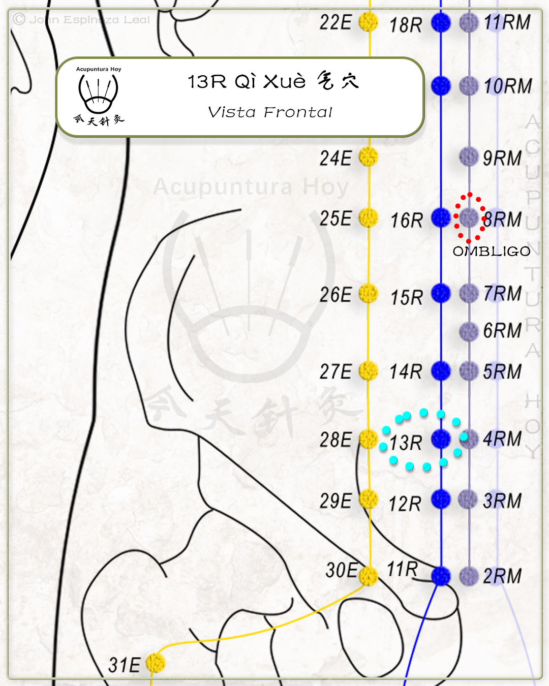 13R Qì Xuè 气穴