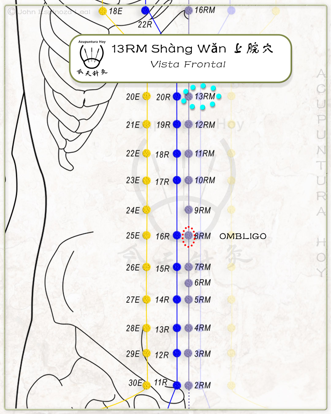 13RM Shàng Wǎn 上脘穴