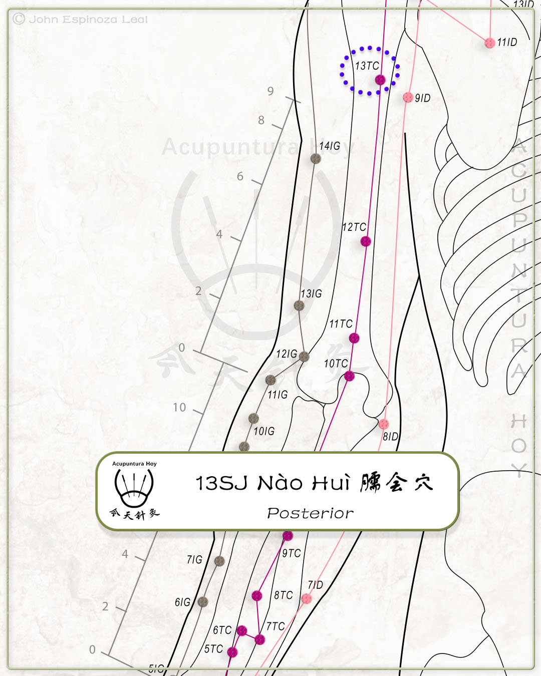 13SJ Nào Huì 臑会穴
