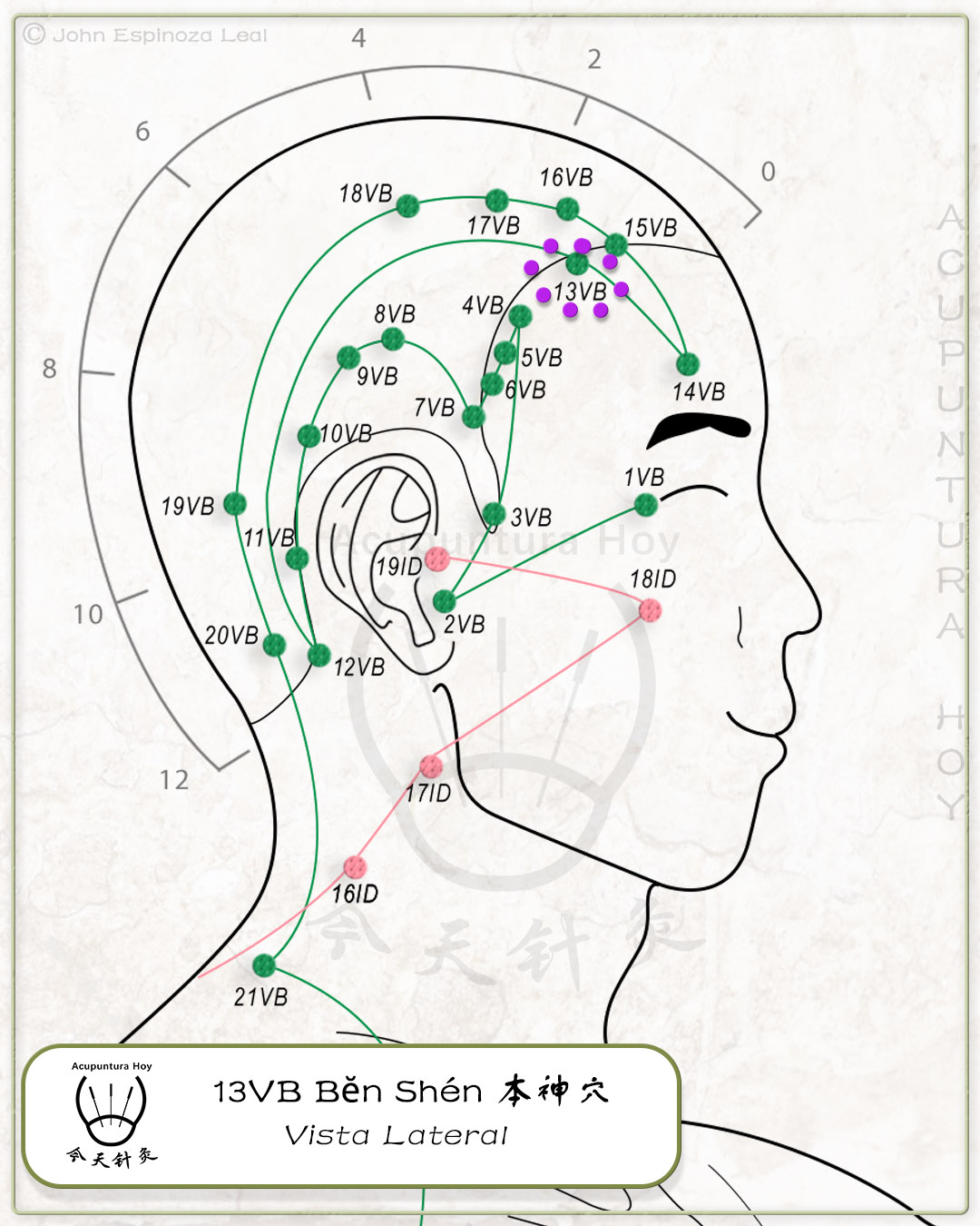 13VB Bĕn Shén 本神穴