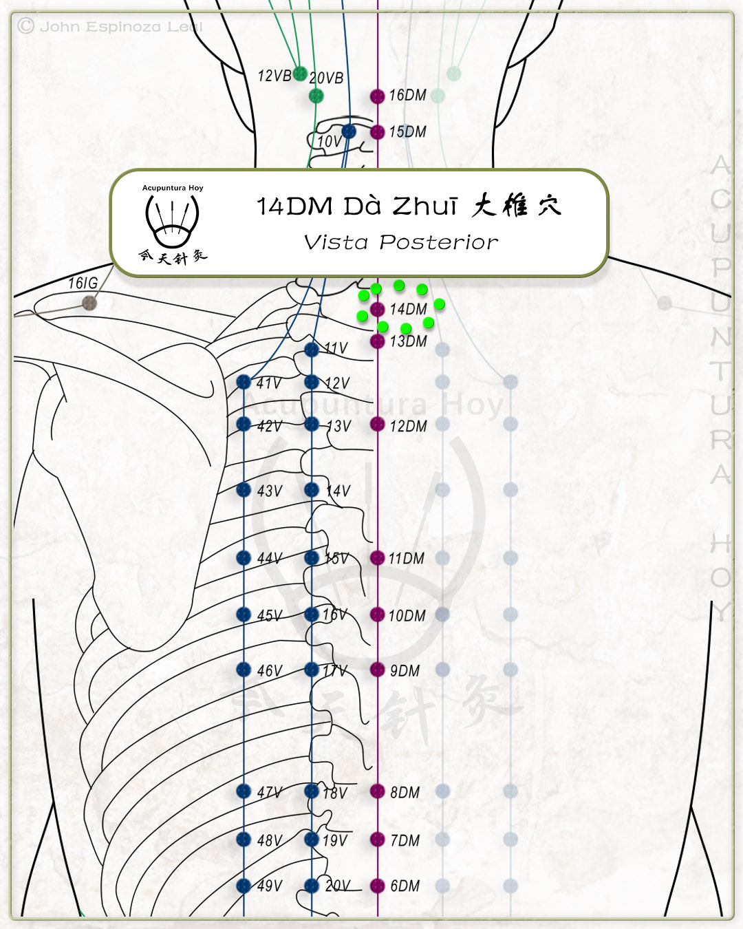 14DM Dà Zhuī 大椎穴