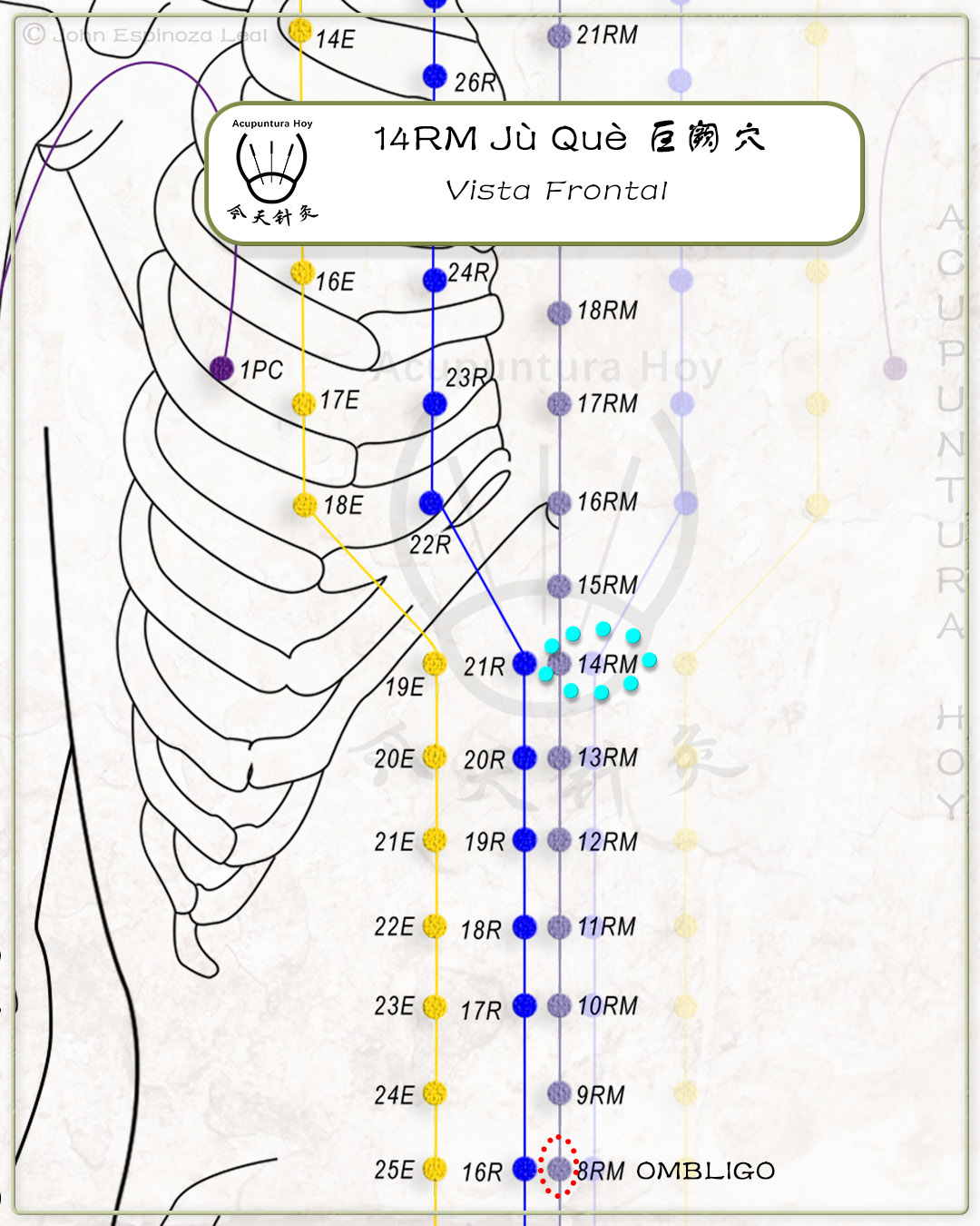 14RM Jù Què 巨阙穴