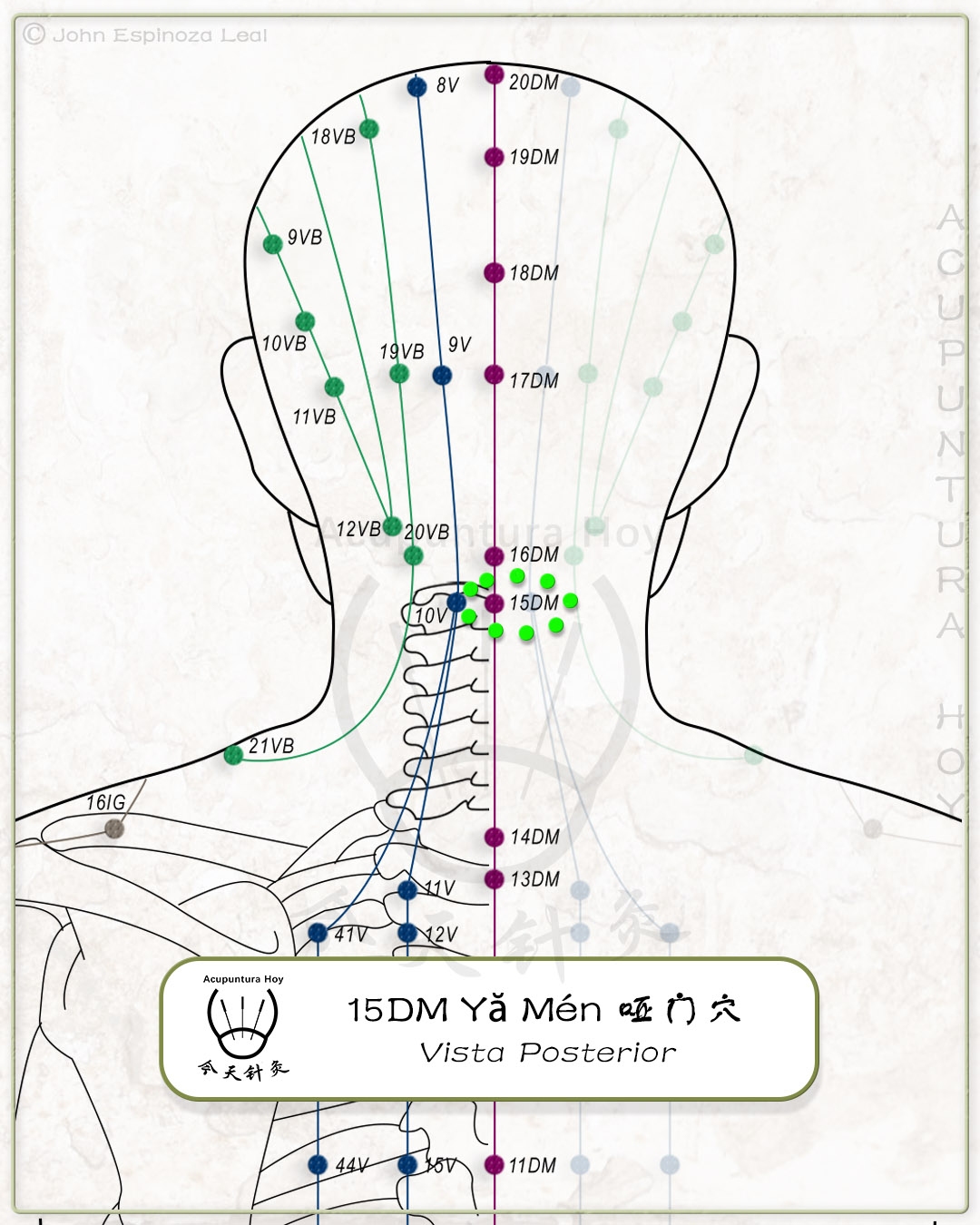 15DM Yă Mén 哑门穴