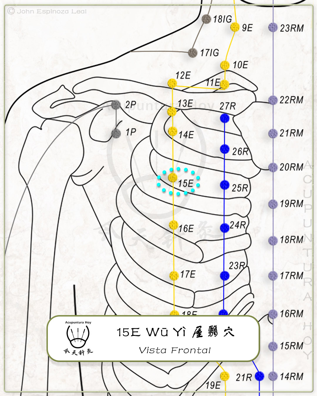 15E Wū Yì 屋翳穴