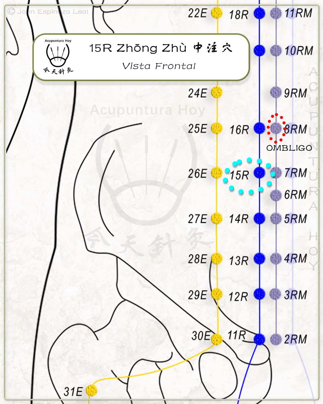 15R Zhōng Zhù 中注穴