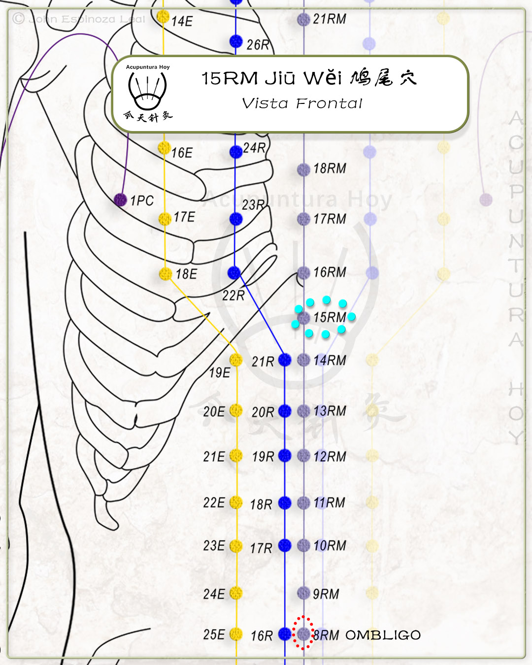15RM Jiū Wĕi 鸠尾穴