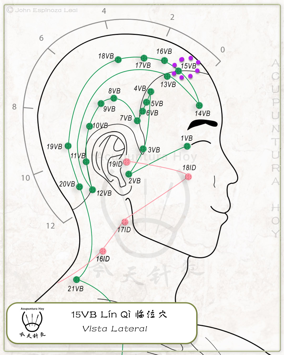 15VB Lín Qì 临泣穴