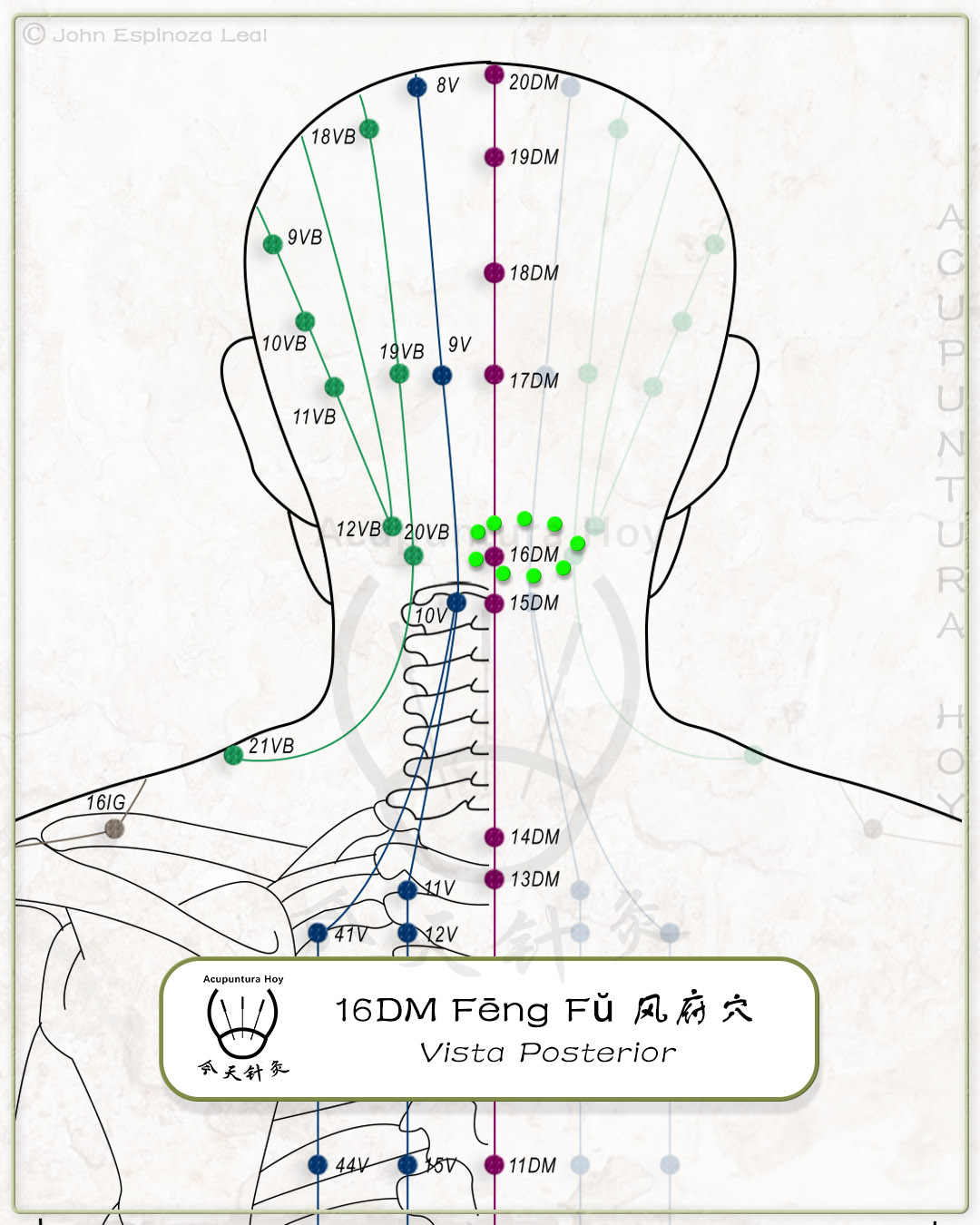 16DM Fēng Fŭ 风府穴
