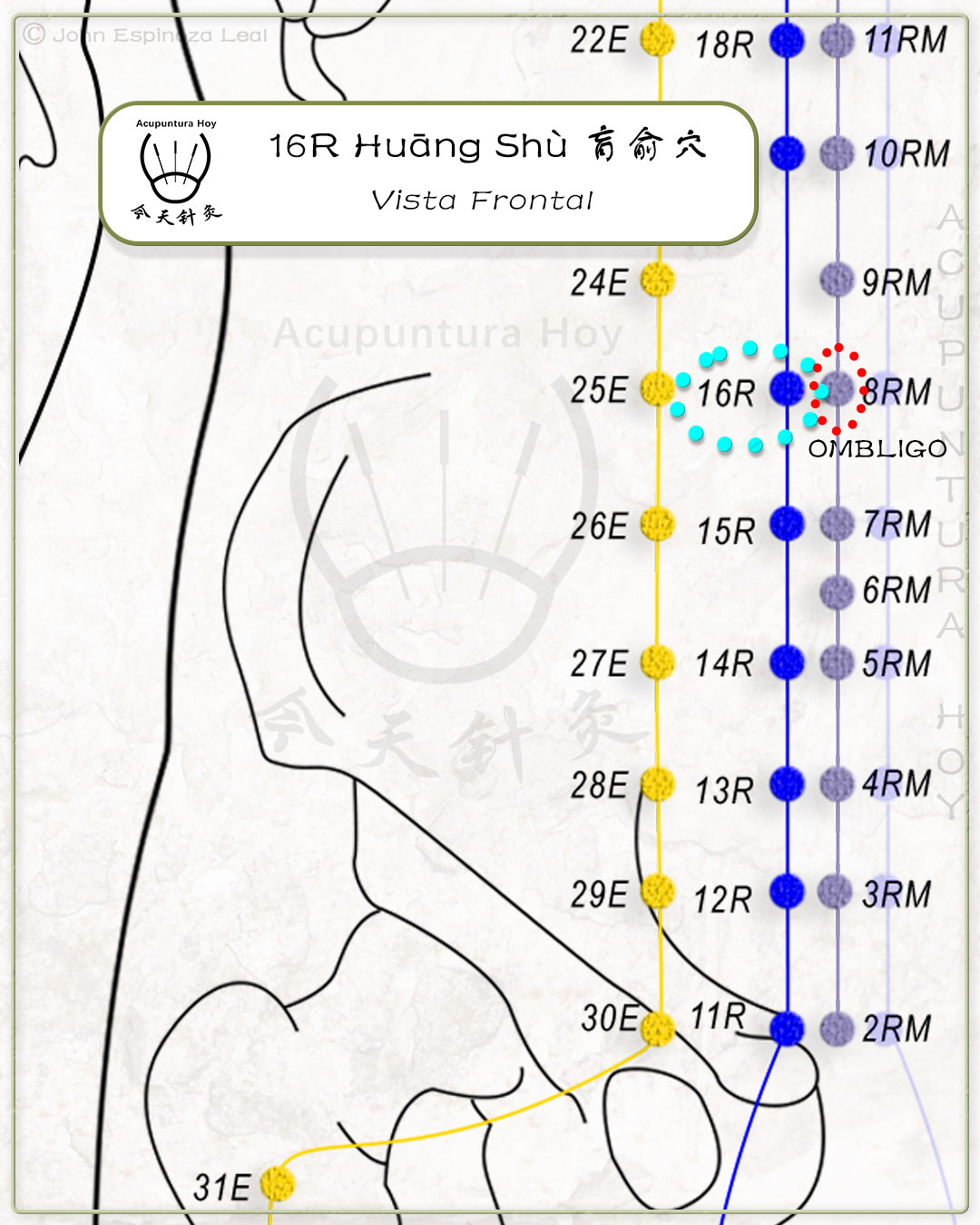 16R Huāng Shù 肓俞穴