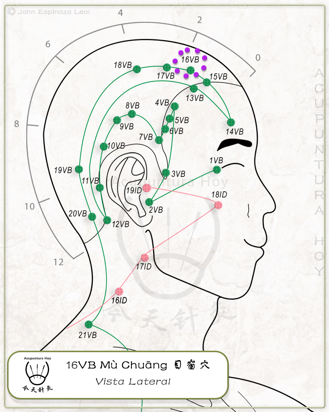 16VB Mù Chuāng 目窗穴